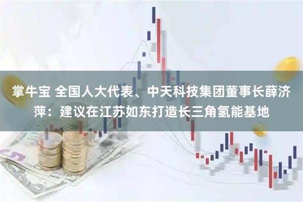 掌牛宝 全国人大代表、中天科技集团董事长薛济萍：建议在江苏如东打造长三角氢能基地