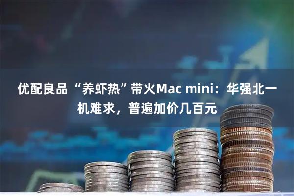 优配良品 “养虾热”带火Mac mini：华强北一机难求，普遍加价几百元