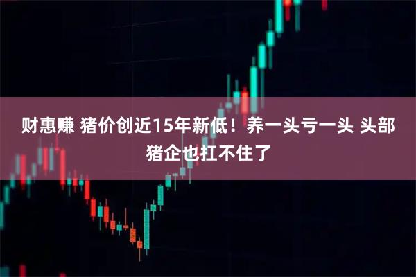财惠赚 猪价创近15年新低！养一头亏一头 头部猪企也扛不住了