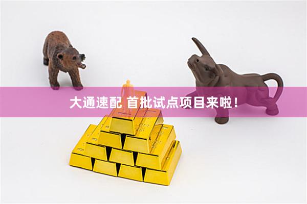大通速配 首批试点项目来啦！