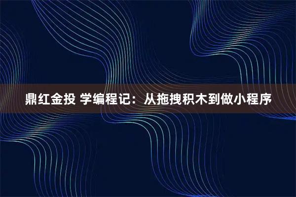 鼎红金投 学编程记：从拖拽积木到做小程序