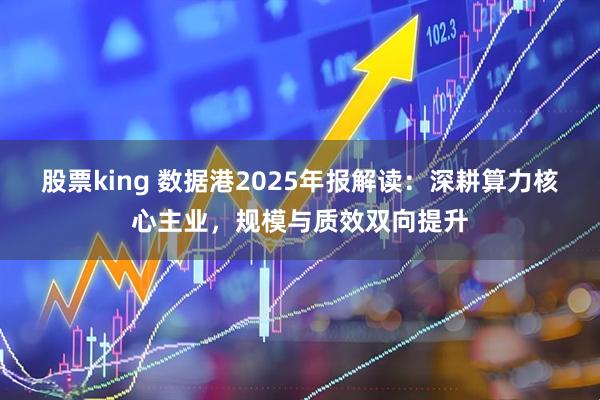 股票king 数据港2025年报解读：深耕算力核心主业，规模与质效双向提升