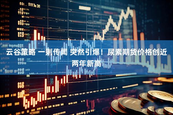 云谷策略 一则传闻 突然引爆!尿素期货价格创近两年新高
