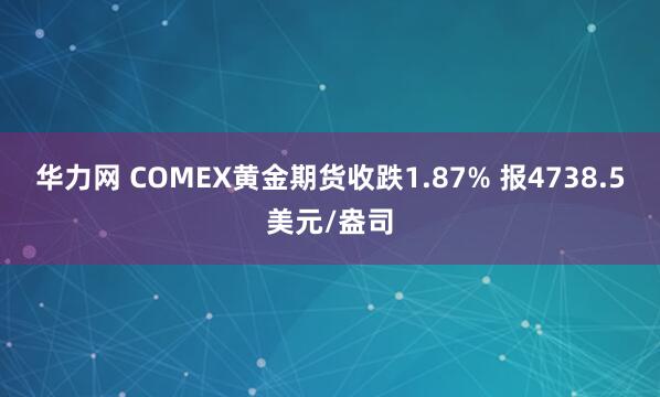 华力网 COMEX黄金期货收跌1.87% 报4738.5美元/盎司