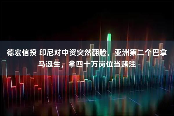 德宏信投 印尼对中资突然翻脸，亚洲第二个巴拿马诞生，拿四十万岗位当赌注