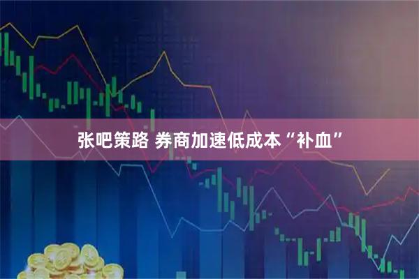 张吧策路 券商加速低成本“补血”