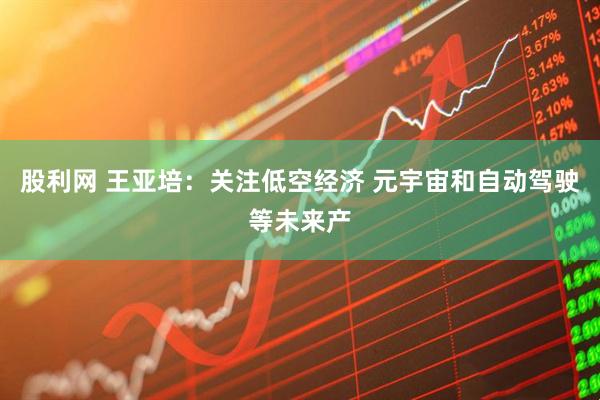 股利网 王亚培：关注低空经济 元宇宙和自动驾驶等未来产