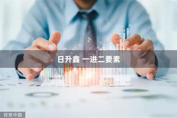 日升鑫 一进二要素