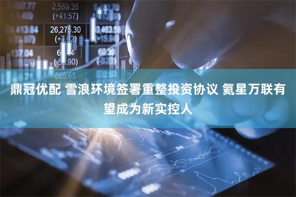鼎冠优配 雪浪环境签署重整投资协议 氦星万联有望成为新实控人