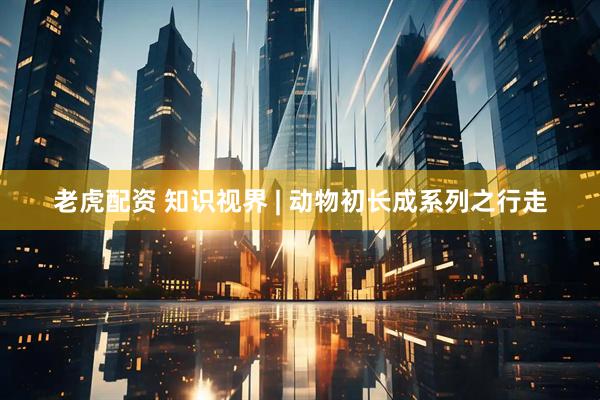老虎配资 知识视界 | 动物初长成系列之行走