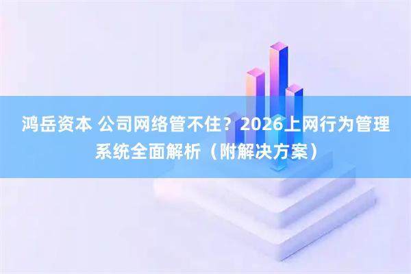 鸿岳资本 公司网络管不住？2026上网行为管理系统全面解析（附解决方案）