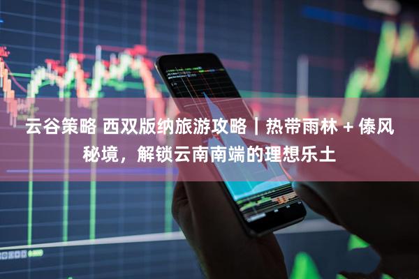 云谷策略 西双版纳旅游攻略|热带雨林 + 傣风秘境,解锁云南南端的理想乐土