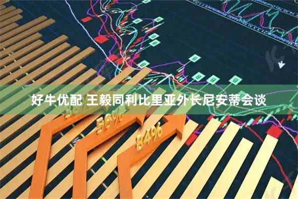 好牛优配 王毅同利比里亚外长尼安蒂会谈