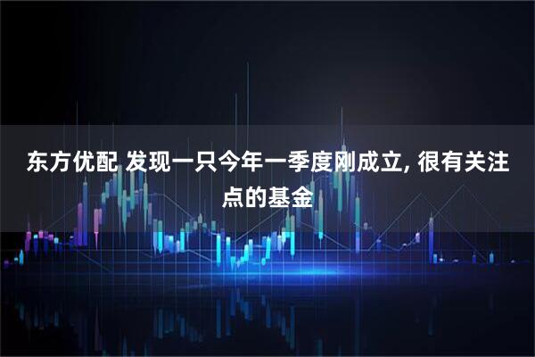 东方优配 发现一只今年一季度刚成立, 很有关注点的基金