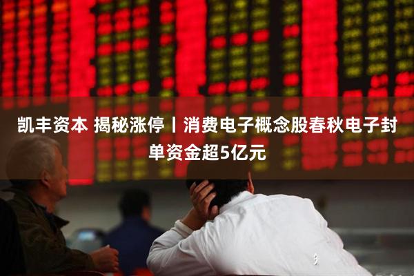 凯丰资本 揭秘涨停丨消费电子概念股春秋电子封单资金超5亿元