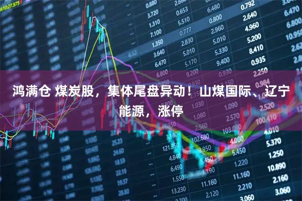 鸿满仓 煤炭股，集体尾盘异动！山煤国际、辽宁能源，涨停