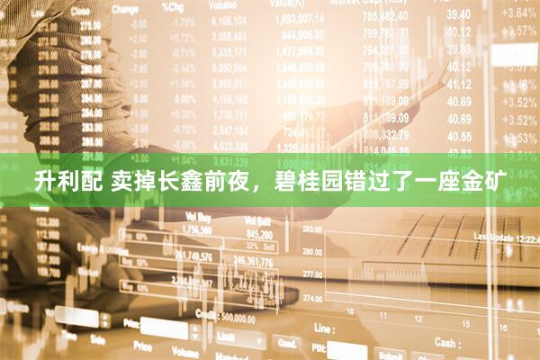 升利配 卖掉长鑫前夜，碧桂园错过了一座金矿