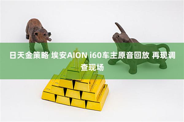 日天金策略 埃安AION i60车主原音回放 再现调查现场