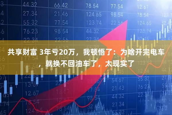 共享财富 3年亏20万，我顿悟了：为啥开完电车，就换不回油车了，太现实了