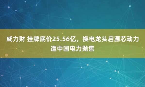 威力财 挂牌底价25.56亿，换电龙头启源芯动力遭中国电力抛售