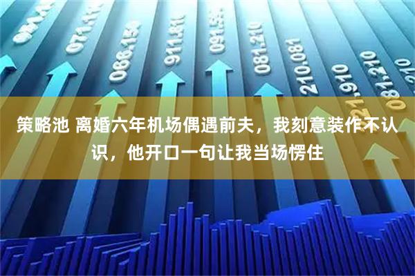 策略池 离婚六年机场偶遇前夫，我刻意装作不认识，他开口一句让我当场愣住